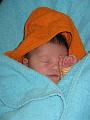 Yente 4 maart 2009 (1)